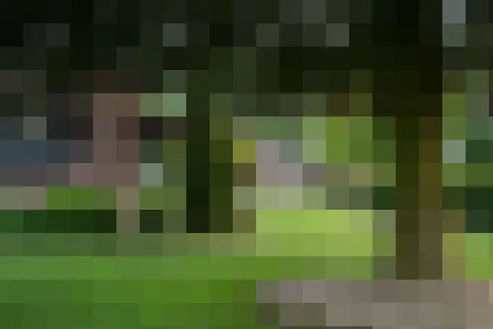 Ridder Robertlaan 3 Doorwerth thumbnail 22