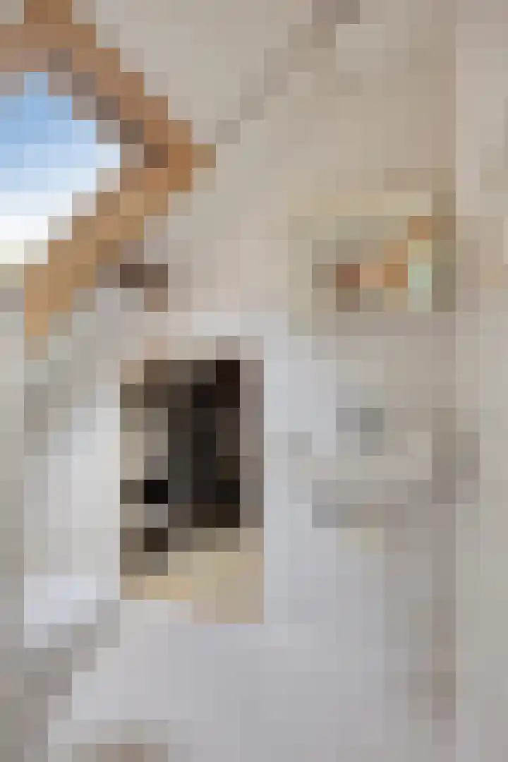 Ridder Robertlaan 3 Doorwerth thumbnail 33