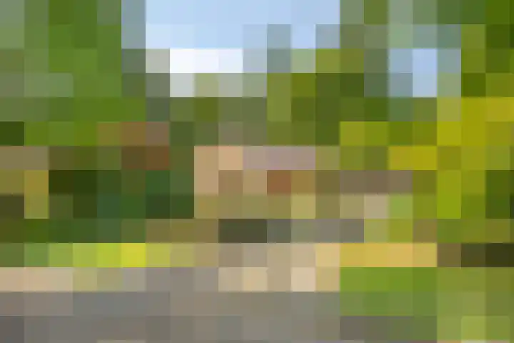 Ridder Robertlaan 3 Doorwerth thumbnail 39