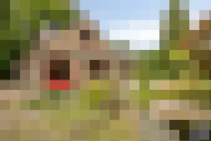 Ridder Robertlaan 3 Doorwerth thumbnail 40