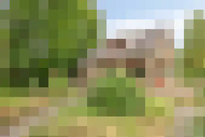 Ridder Robertlaan 3 Doorwerth thumbnail 41