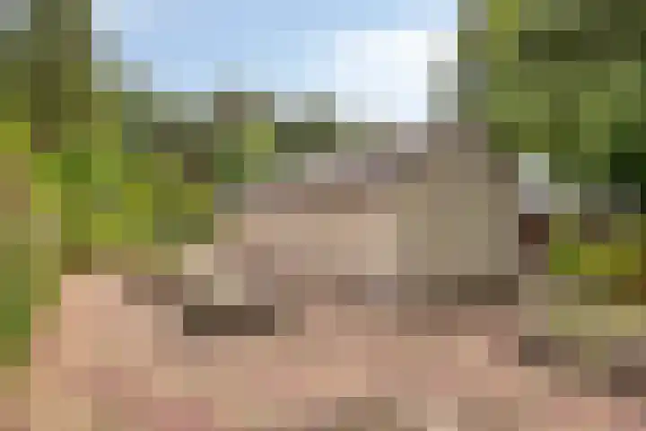 Ridder Robertlaan 3 Doorwerth thumbnail 43