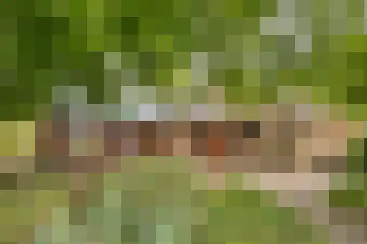 Ridder Robertlaan 3 Doorwerth thumbnail 44