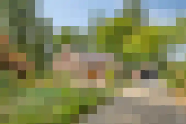 Ridder Robertlaan 3 Doorwerth thumbnail 45