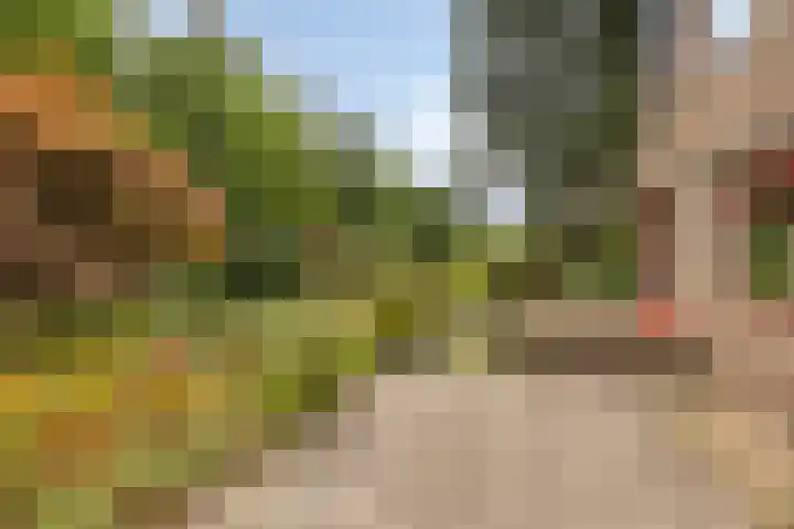 Ridder Robertlaan 3 Doorwerth thumbnail 5