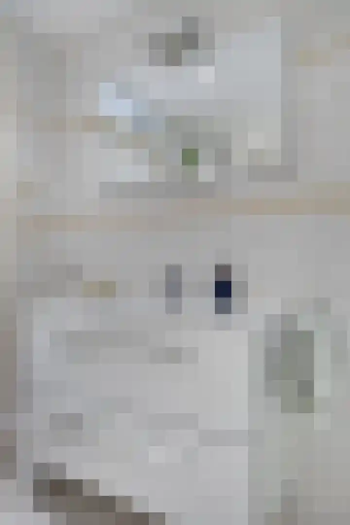 Ridder Robertlaan 3 Doorwerth thumbnail 8