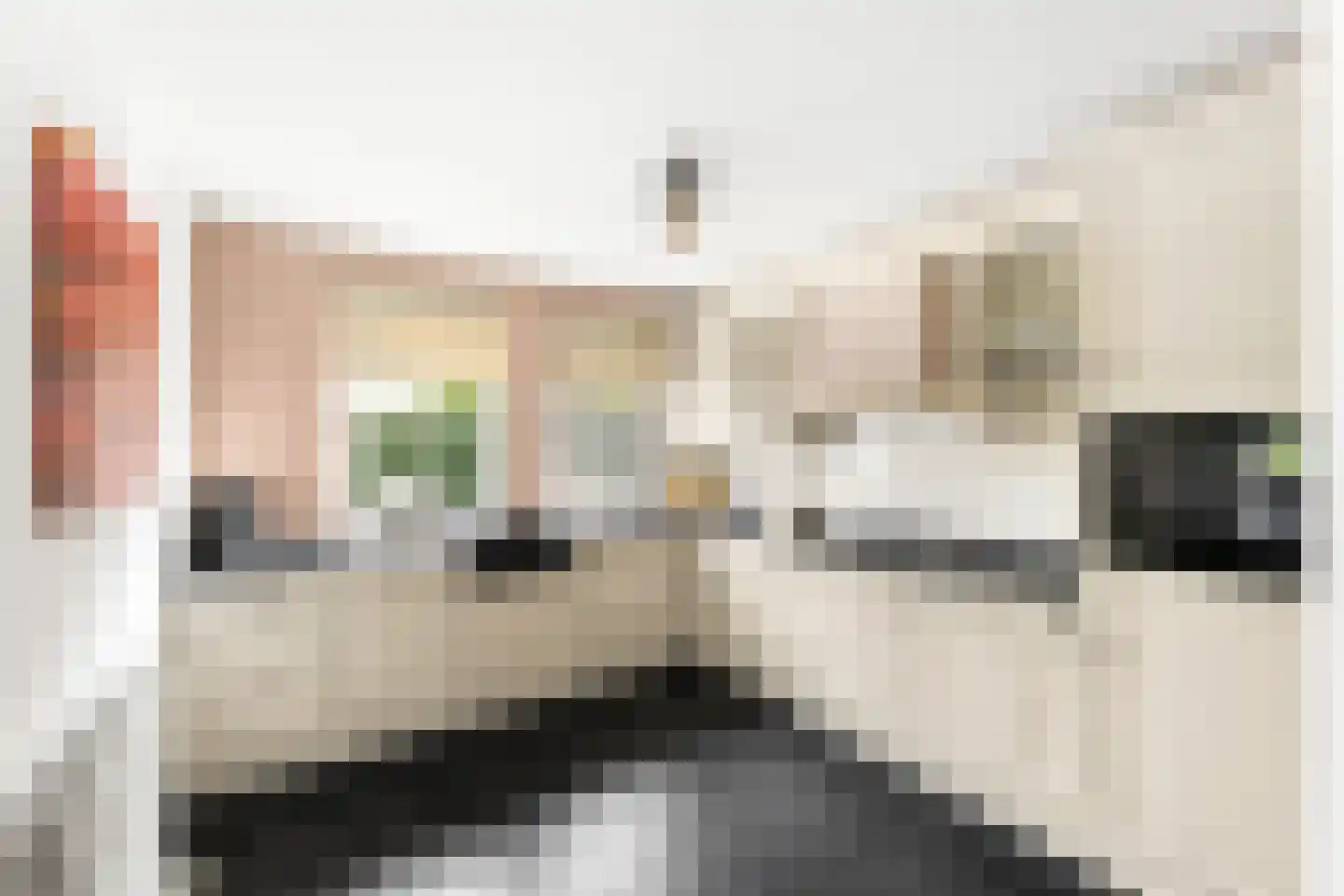 Ridder Robertstraat 10 a Zaamslag thumbnail 16