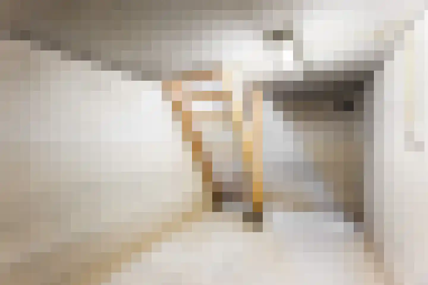 Ridder Robertstraat 10 a Zaamslag thumbnail 33