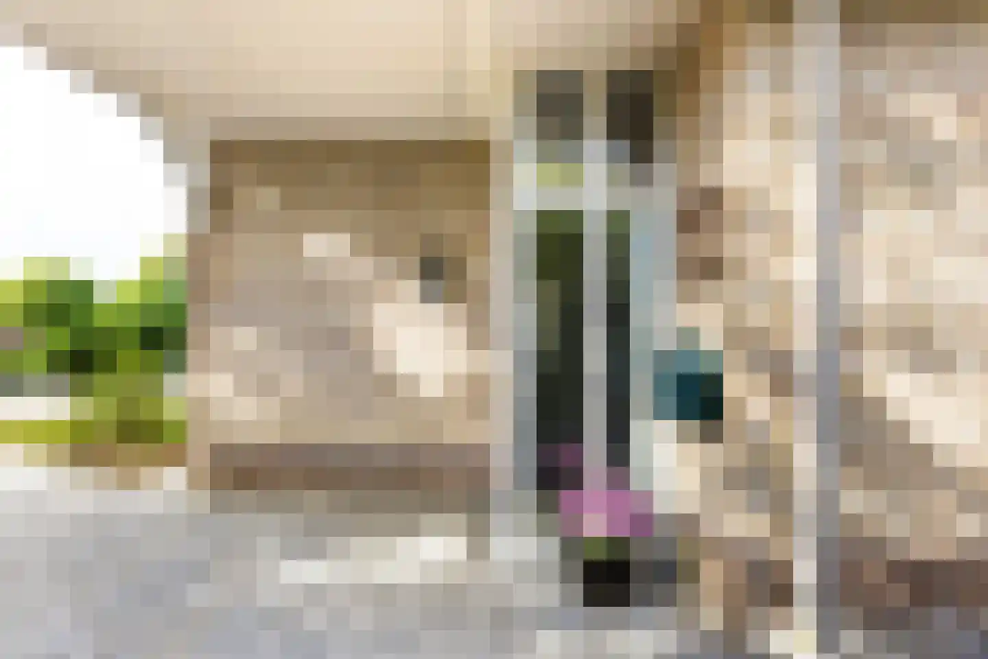 Ridder Robertstraat 10 a Zaamslag thumbnail 8