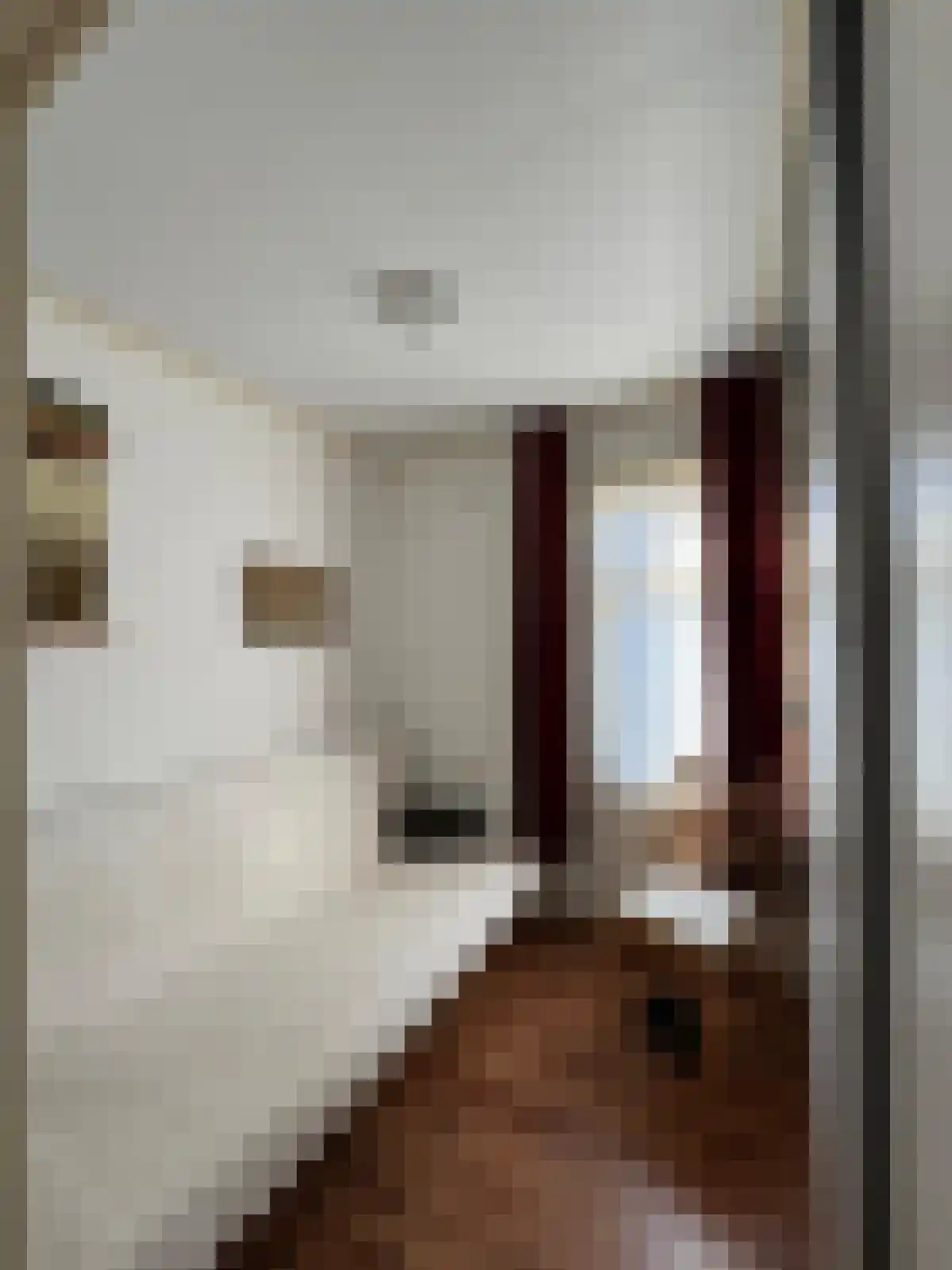 Ridder Robertstraat 5 Zaamslag thumbnail 12