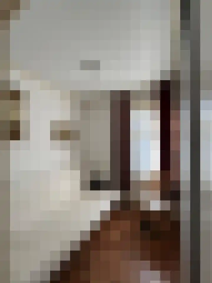 Ridder Robertstraat 5 Zaamslag thumbnail 12