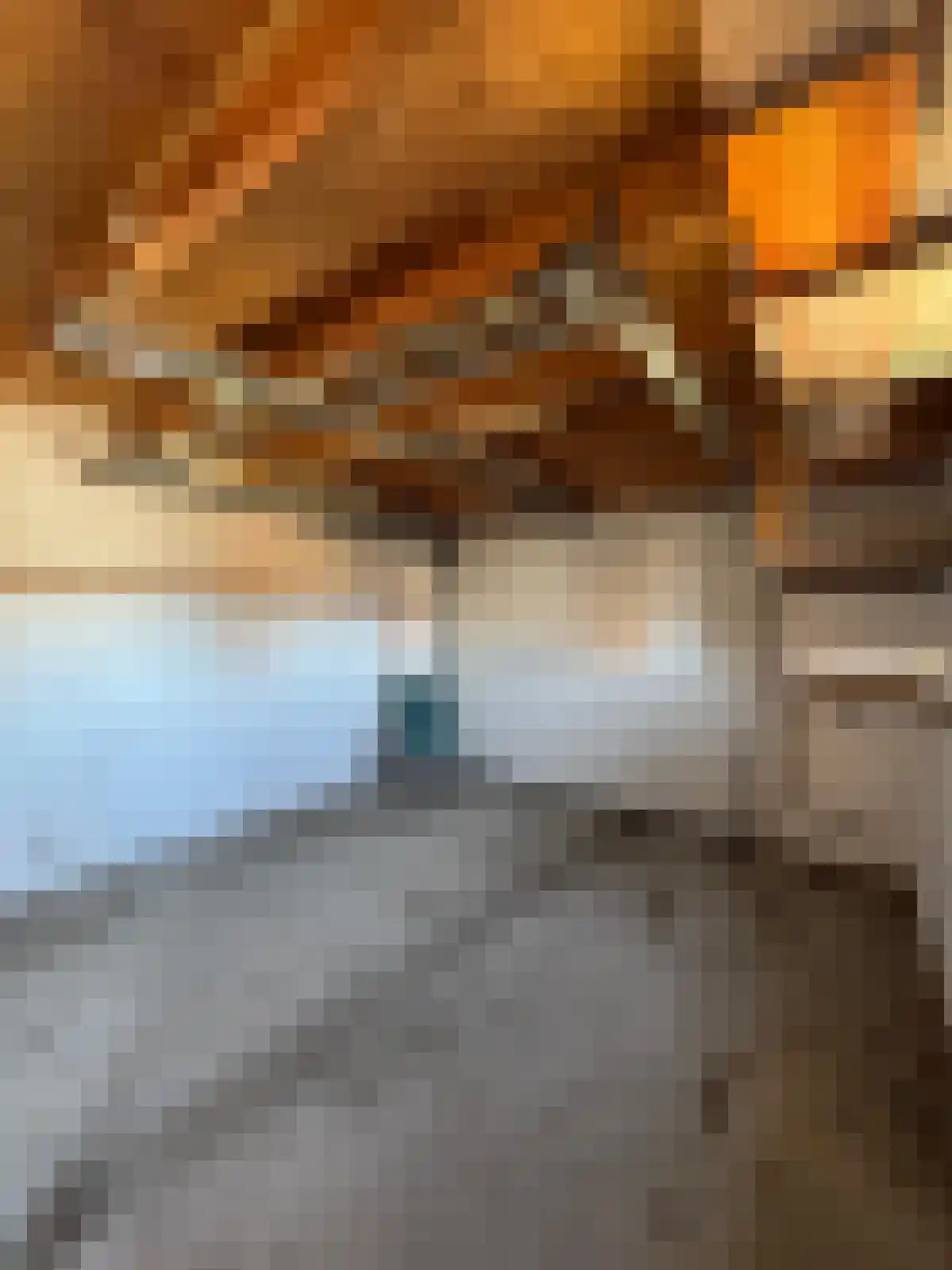Ridder Robertstraat 5 Zaamslag thumbnail 23