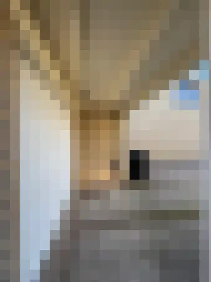 Ridder Robertstraat 5 Zaamslag thumbnail 25