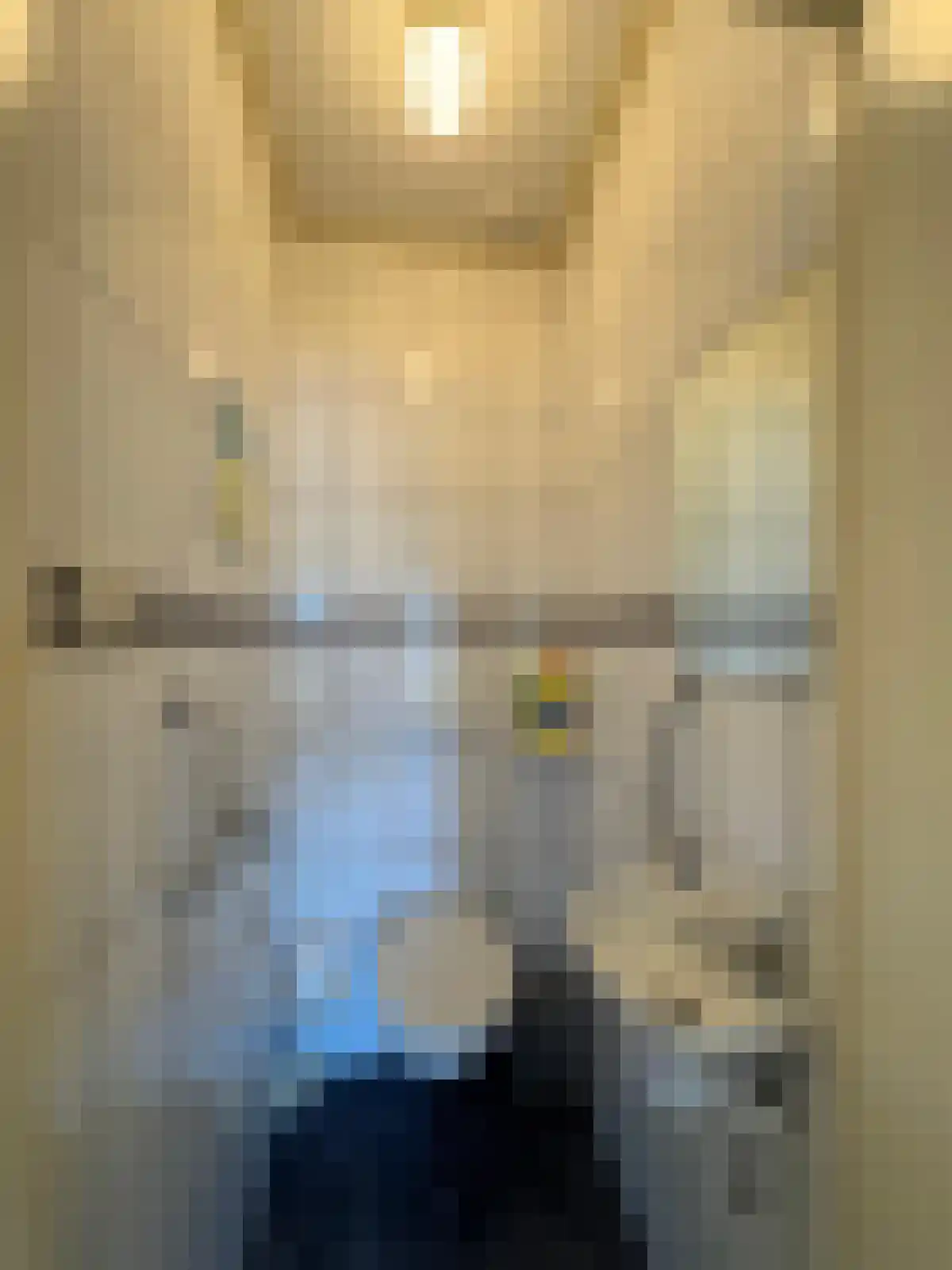 Ridder Robertstraat 5 Zaamslag thumbnail 4