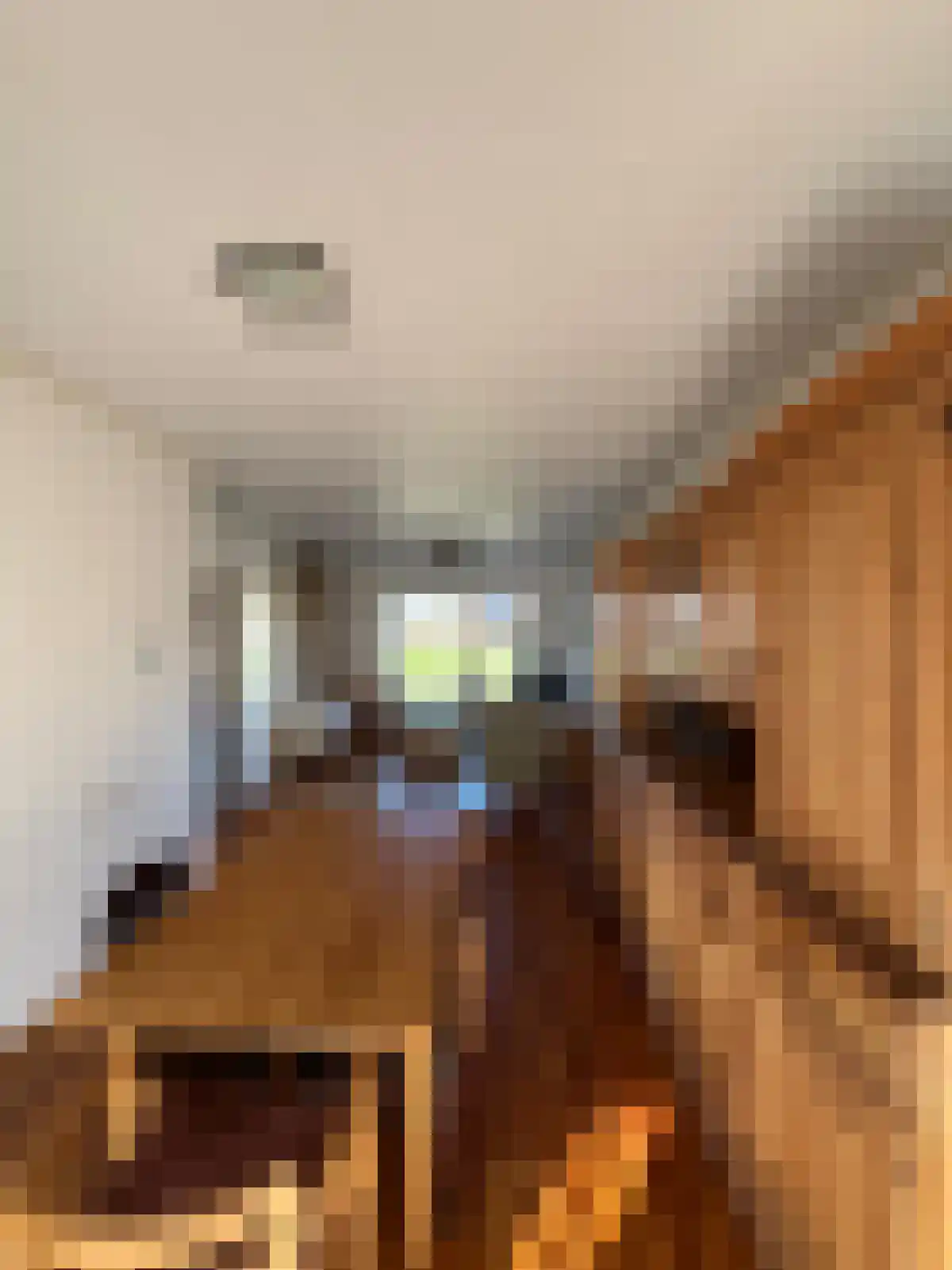 Ridder Robertstraat 5 Zaamslag thumbnail 6