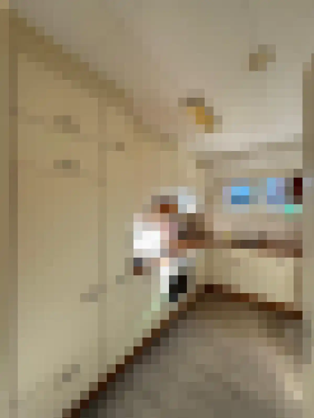 Ridder Robertstraat 5 Zaamslag thumbnail 8