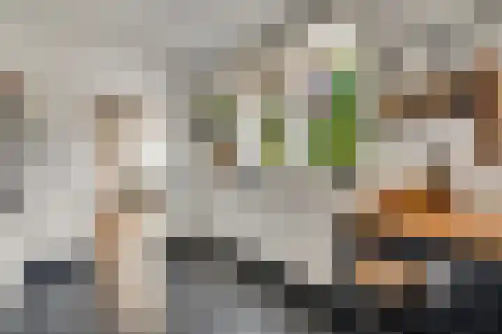 Ridder van Asenrodeweg 27 Roermond thumbnail 11