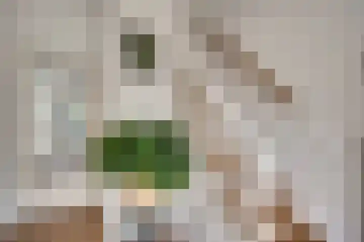 Ridder van Asenrodeweg 27 Roermond thumbnail 17