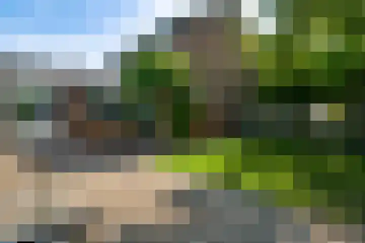 Ridder van Asenrodeweg 27 Roermond thumbnail 30