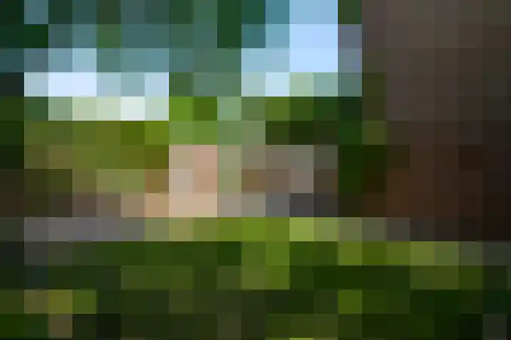 Ridder van Asenrodeweg 27 Roermond thumbnail 31