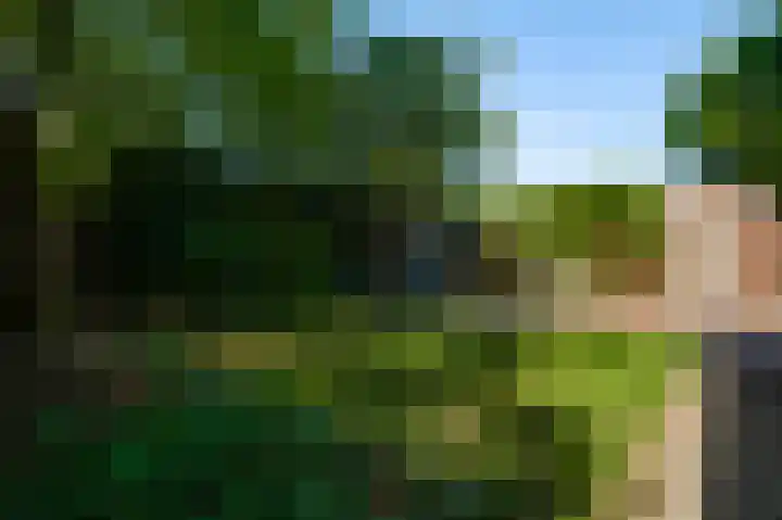 Ridder van Asenrodeweg 27 Roermond thumbnail 32