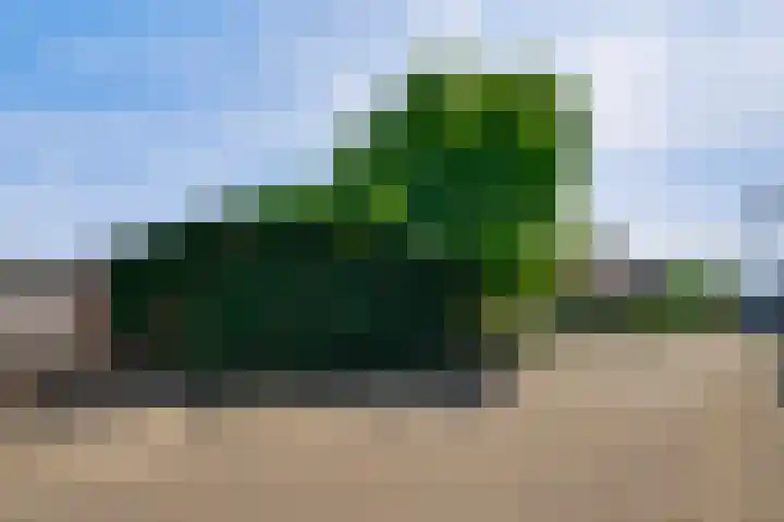 Ridder van Asenrodeweg 27 Roermond thumbnail 34