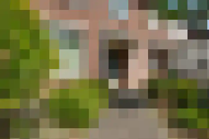 Ridder van Asenrodeweg 27 Roermond thumbnail 35