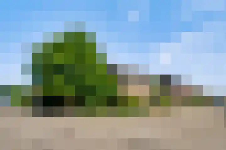 Ridder van Asenrodeweg 27 Roermond thumbnail 36