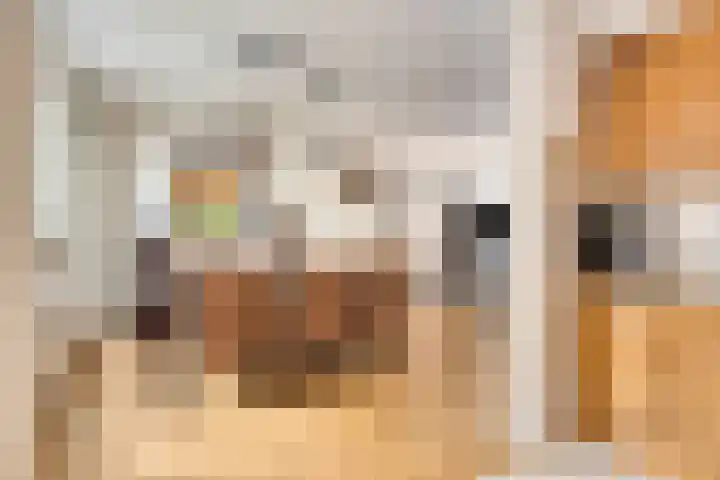 Ridder van Asenrodeweg 29 Roermond thumbnail 11
