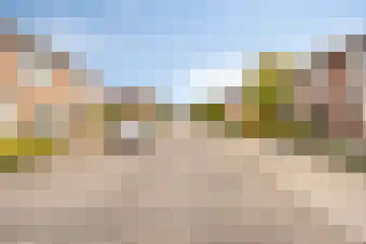 Ridder van Asenrodeweg 29 Roermond thumbnail 33