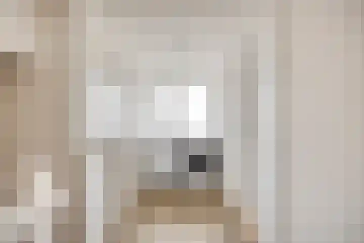 Ridder van Asenrodeweg 67 Roermond thumbnail 38