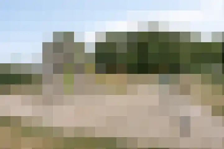 Ridder van Asenrodeweg 67 Roermond thumbnail 48