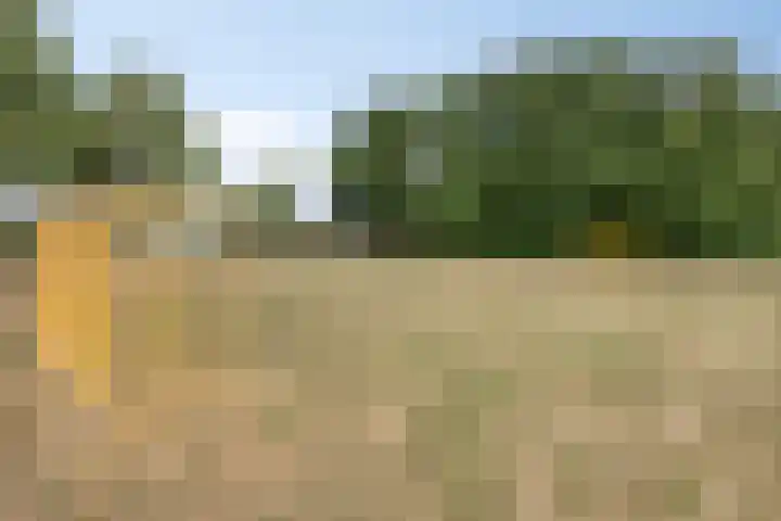 Ridder van Asenrodeweg 67 Roermond thumbnail 49