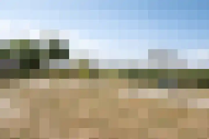 Ridder van Asenrodeweg 67 Roermond thumbnail 50