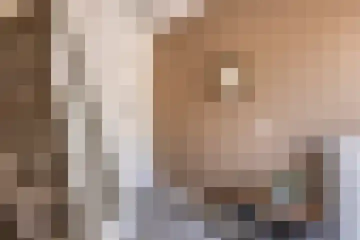 Ridder van Asenrodeweg 67 Roermond thumbnail 9