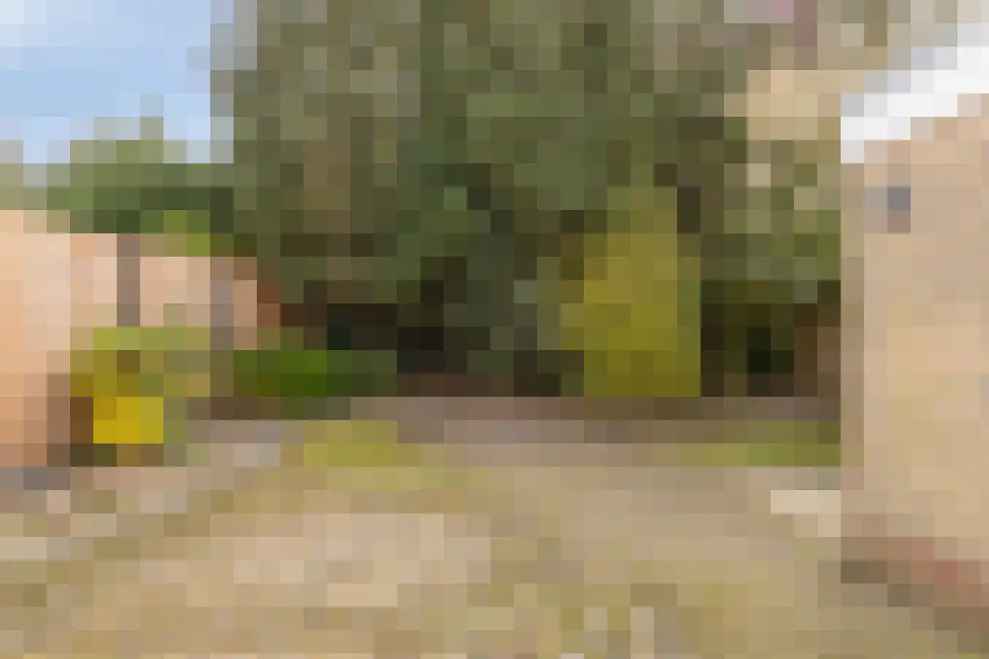 Ridder van Baerlestraat 17 Baarlo thumbnail 30