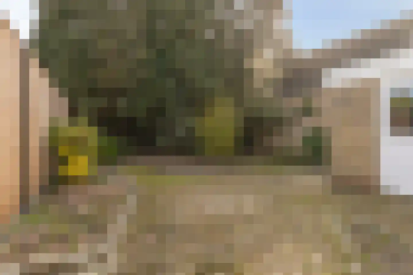 Ridder van Baerlestraat 17 Baarlo thumbnail 31