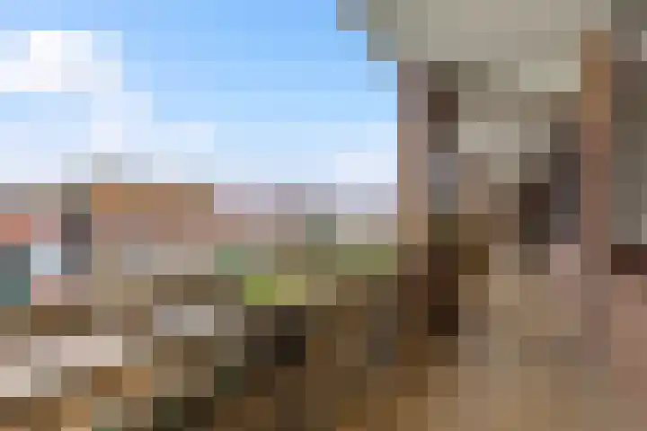 Ridder van Catsweg 152 Gouda thumbnail 6