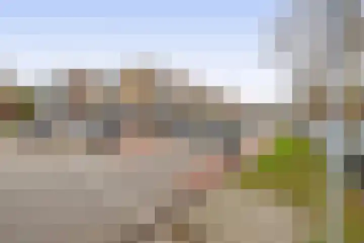 Ridder van Catsweg 164 Gouda thumbnail 16