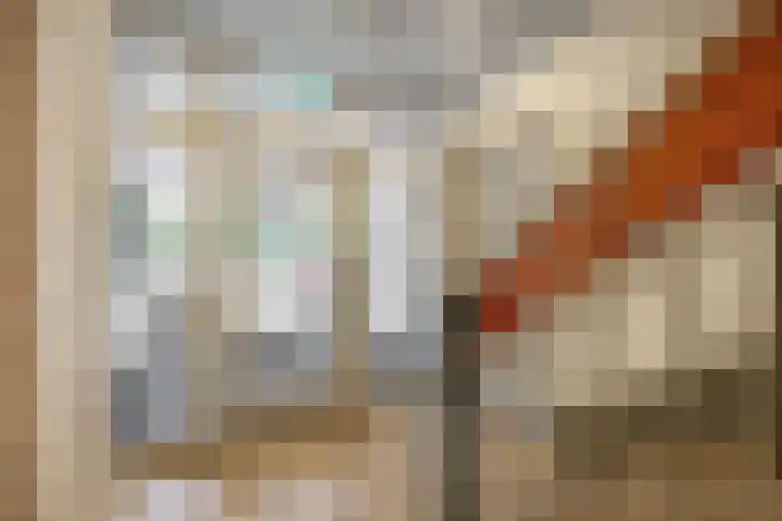 Ridder van Catsweg 164 Gouda thumbnail 7