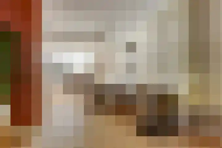 Ridder van Catsweg 224 Gouda thumbnail 10
