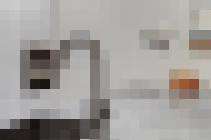 Ridder van Catsweg 224 Gouda thumbnail 13