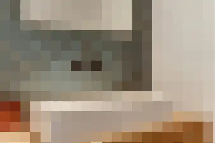Ridder van Catsweg 224 Gouda thumbnail 24