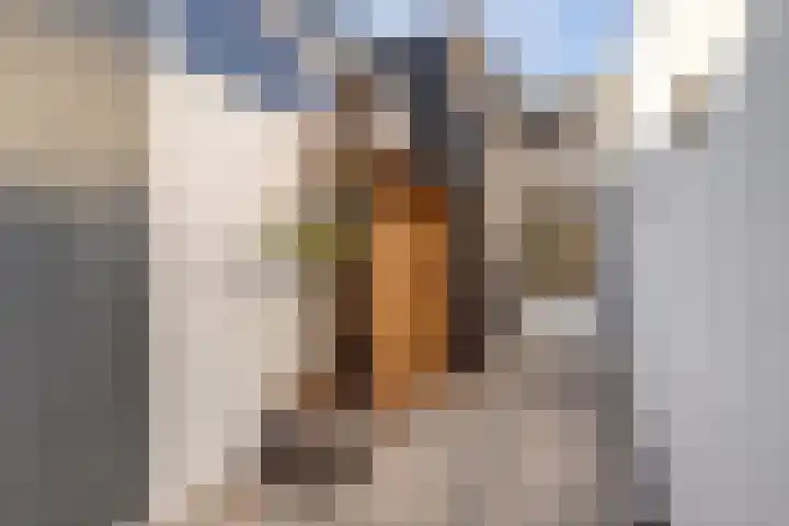 Ridder van Catsweg 224 Gouda thumbnail 42