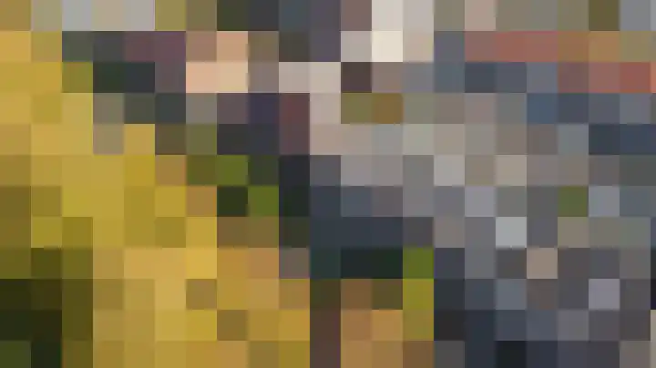 Ridder van Catsweg 224 Gouda thumbnail 48