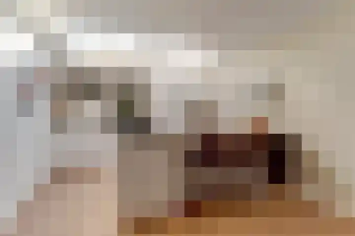 Ridder van Catsweg 224 Gouda thumbnail 5