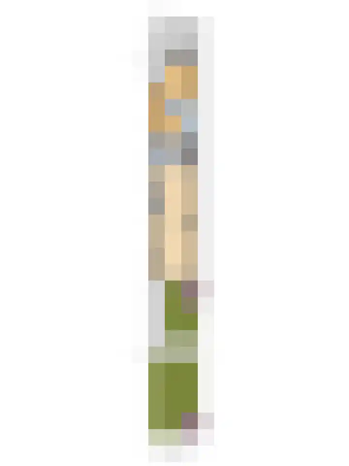 Ridder van Catsweg 224 Gouda thumbnail 50