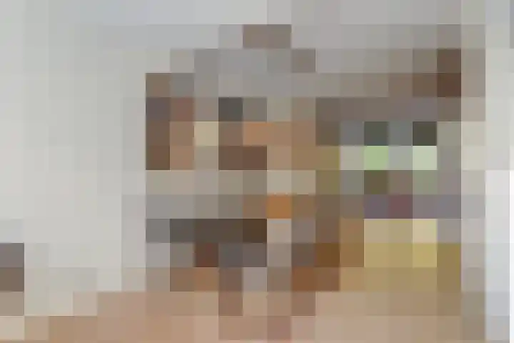 Ridder van Catsweg 224 Gouda thumbnail 6