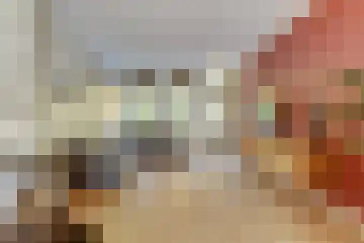 Ridder van Catsweg 224 Gouda thumbnail 8