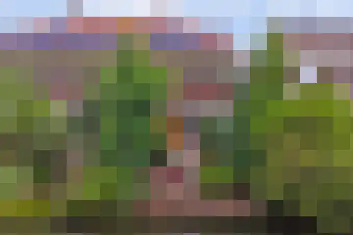 Ridder van Catsweg 228 in Gouda